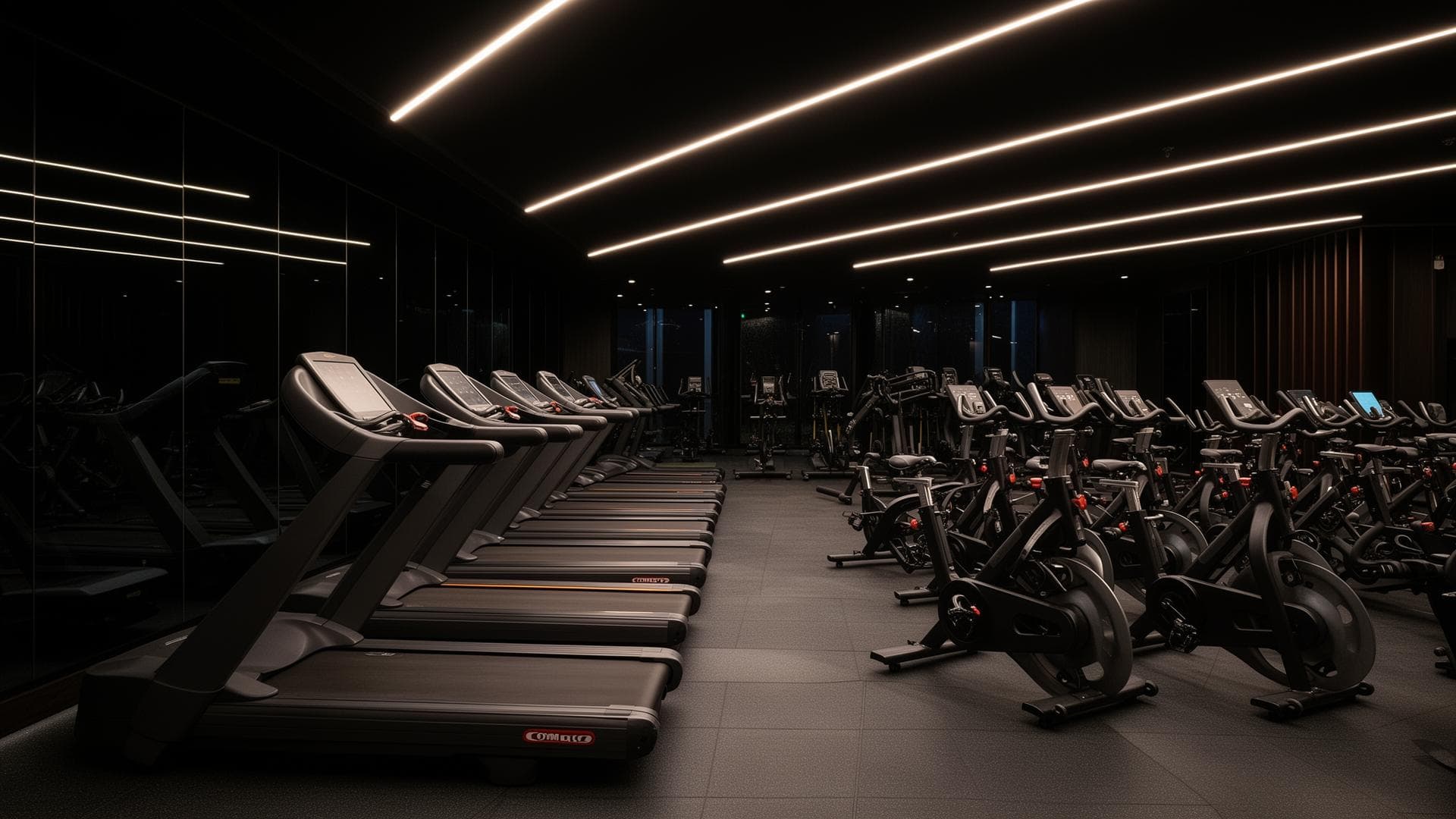 Zona de cardio